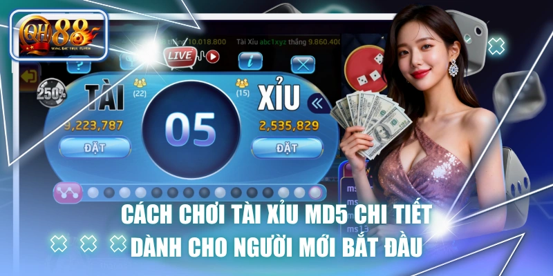 Cách Chơi Tài Xỉu MD5 Chi Tiết Dành Cho Người Mới Bắt Đầu 1 Cách Chơi Tài Xỉu MD5 Chi Tiết Dành Cho Người Mới Bắt Đầu